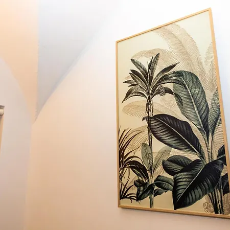 Casa Nichy *